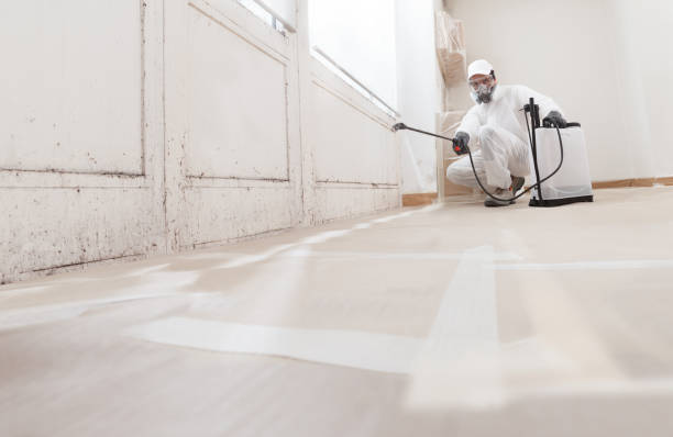 24/7 Emergency Mold Remediation experts in Rocky Hill, NJ